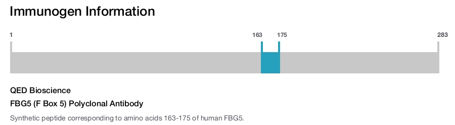 FBG5 (F Box 5) Polyclonal Antibody
