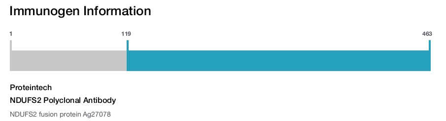 NDUFS2 Polyclonal Antibody