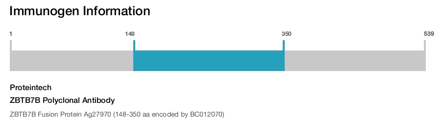 ZBTB7B Polyclonal Antibody