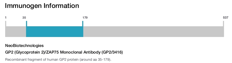 GP2 (Glycoprotein 2)/ZAP75 Monoclonal Antibody (GP2/3416)
