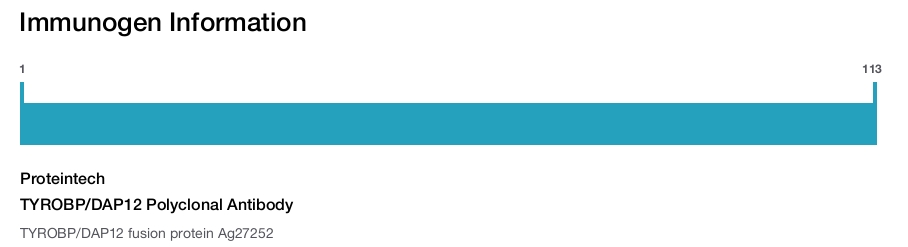 TYROBP/DAP12 Polyclonal Antibody