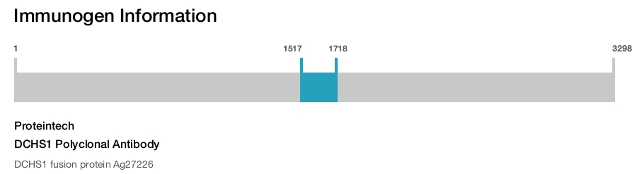 DCHS1 Polyclonal Antibody