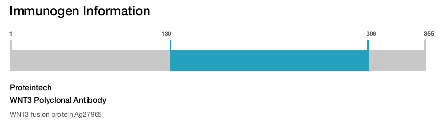 WNT3 Polyclonal Antibody