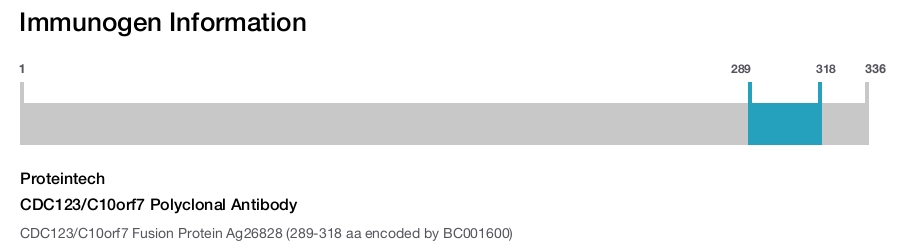 CDC123/C10orf7 Polyclonal Antibody