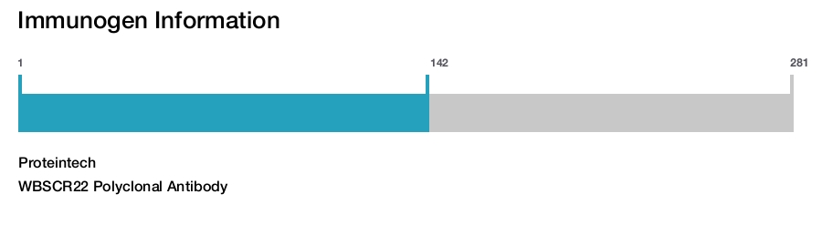 WBSCR22 Polyclonal Antibody