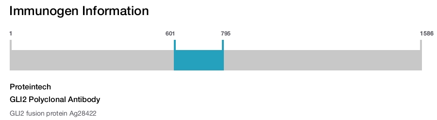 GLI2 Polyclonal Antibody