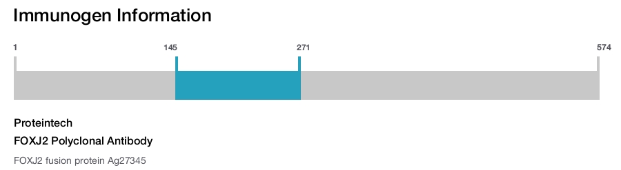 FOXJ2 Polyclonal Antibody