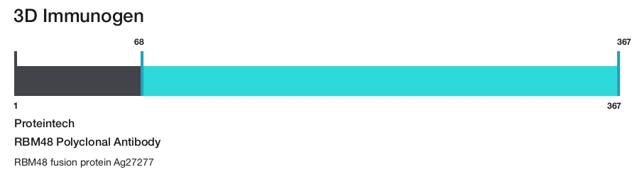 RBM48 Polyclonal Antibody