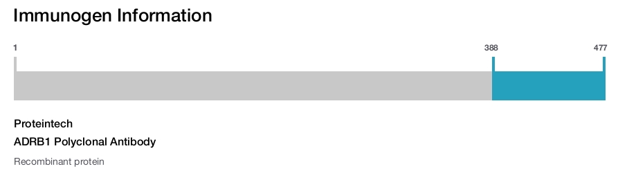 ADRB1 Polyclonal Antibody