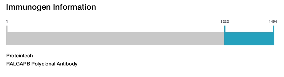 RALGAPB Polyclonal Antibody