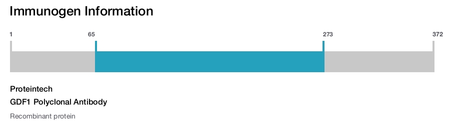 GDF1 Polyclonal Antibody