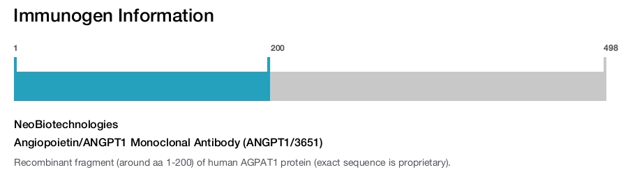 Angiopoietin/ANGPT1 Monoclonal Antibody (ANGPT1/3651)