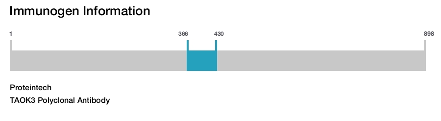 TAOK3 Polyclonal Antibody