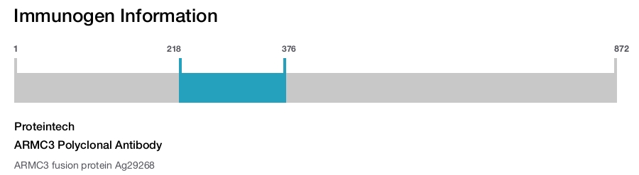 ARMC3 Polyclonal Antibody