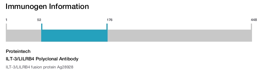 ILT-3/LILRB4 Polyclonal Antibody