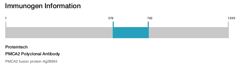 PMCA2 Polyclonal Antibody