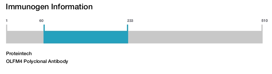 OLFM4 Polyclonal Antibody