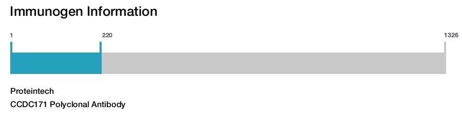 CCDC171 Polyclonal Antibody