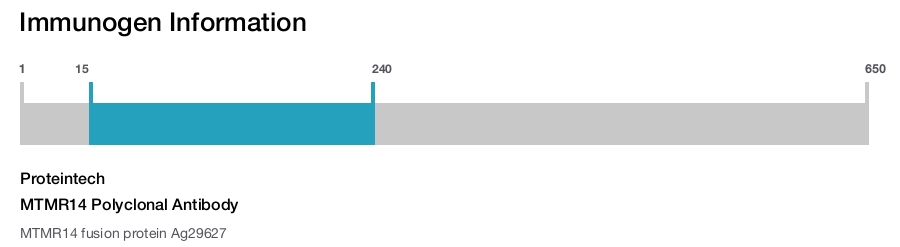 MTMR14 Polyclonal Antibody