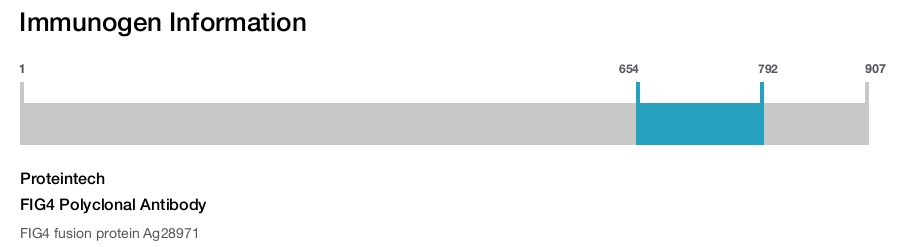 FIG4 Polyclonal Antibody