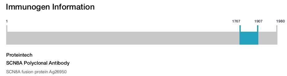 SCN8A Polyclonal Antibody