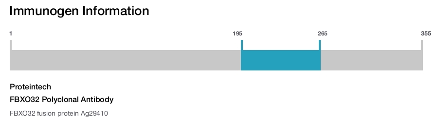 FBXO32 Polyclonal Antibody