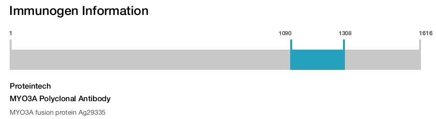 MYO3A Polyclonal Antibody