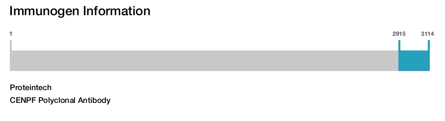 CENPF Polyclonal Antibody