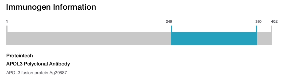 APOL3 Polyclonal Antibody