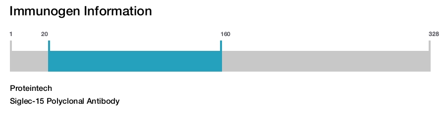 Siglec-15 Polyclonal Antibody