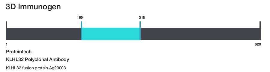 KLHL32 Polyclonal Antibody