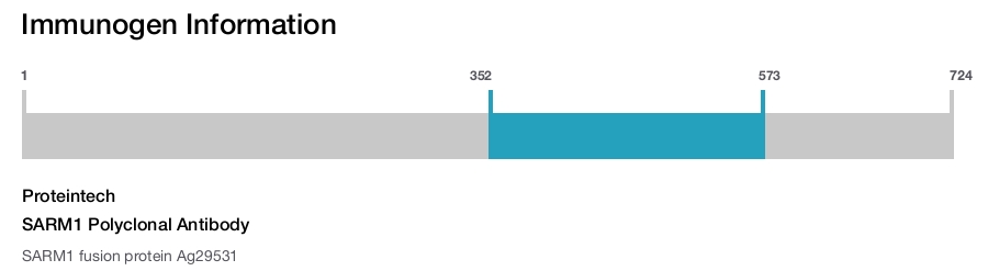 SARM1 Polyclonal Antibody