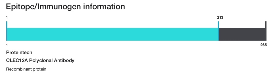 CLEC12A Polyclonal Antibody