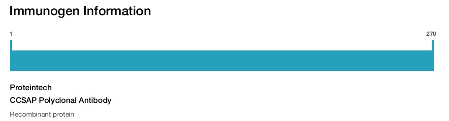CCSAP Polyclonal Antibody