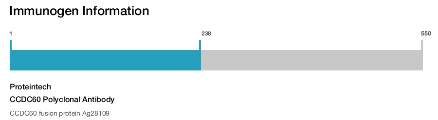 CCDC60 Polyclonal Antibody