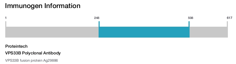 VPS33B Polyclonal Antibody