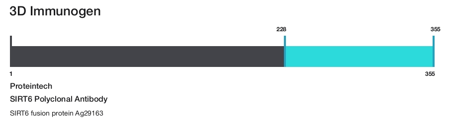 SIRT6 Polyclonal Antibody