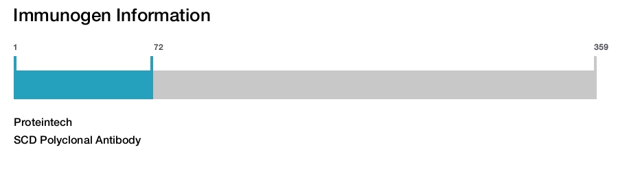SCD Polyclonal Antibody