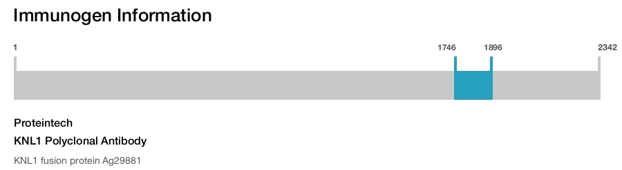 KNL1 Polyclonal Antibody