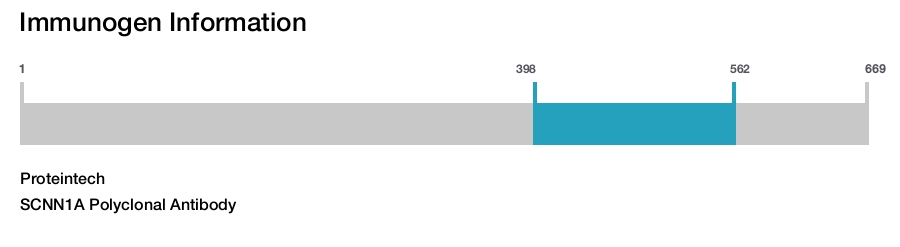 SCNN1A Polyclonal Antibody