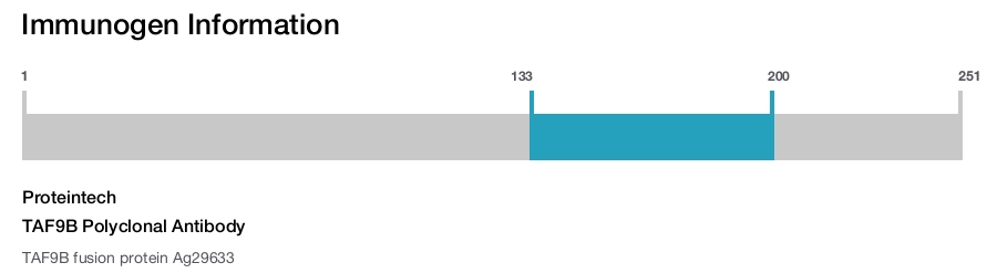TAF9B Polyclonal Antibody