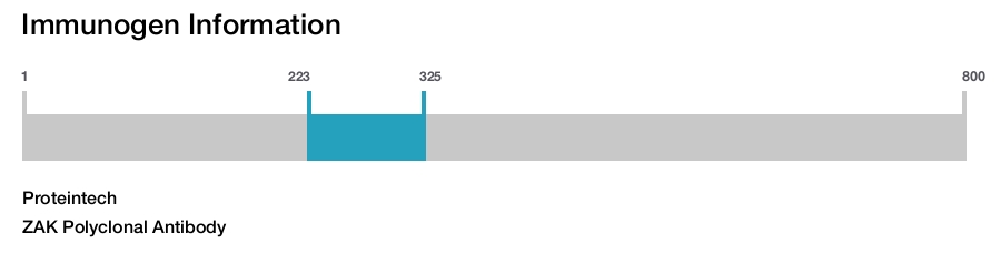ZAK Polyclonal Antibody