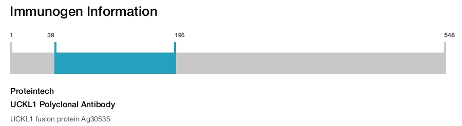 UCKL1 Polyclonal Antibody