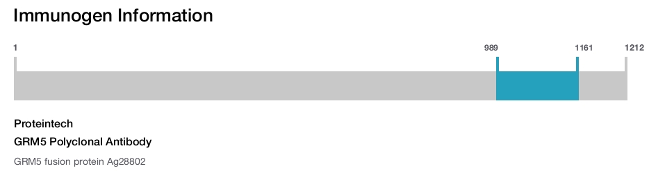 GRM5 Polyclonal Antibody