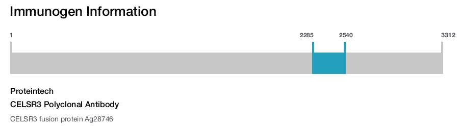 CELSR3 Polyclonal Antibody