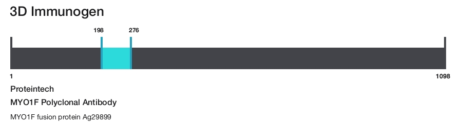 MYO1F Polyclonal Antibody