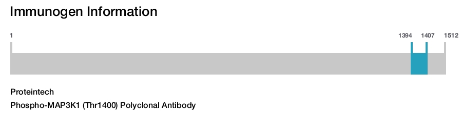 Phospho-MAP3K1 (Thr1400) Polyclonal Antibody