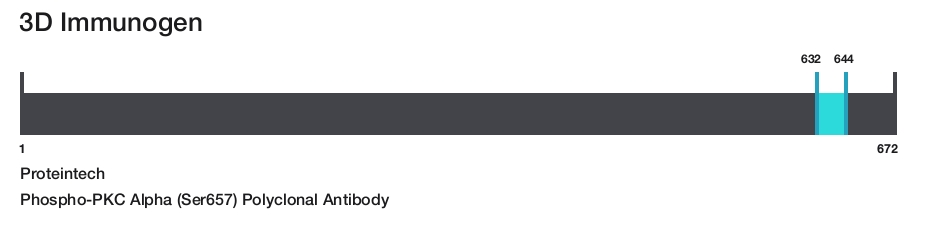 Phospho-PKC Alpha (Ser657) Polyclonal Antibody