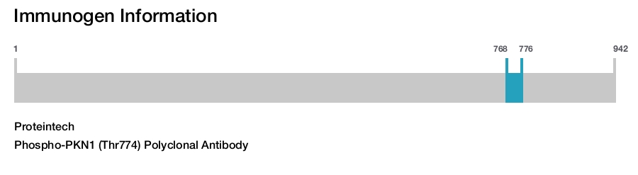 Phospho-PKN1 (Thr774) Polyclonal Antibody