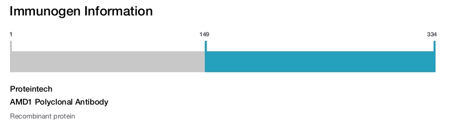 AMD1 Polyclonal Antibody